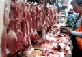 2021年猪肉价格持续下跌，第四季度会反弹吗？