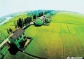 如果让你创业，你会去选择做什么？