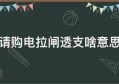 请购电拉闸透支啥意思