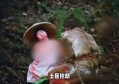 半变态(半变态名词解释)