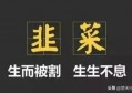 股票这样炒来炒去，有人赚钱，有人赔钱。股票的意义在什么地方？